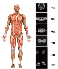 BE-1C普及型人体成分分析仪