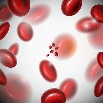血细胞中的红细胞