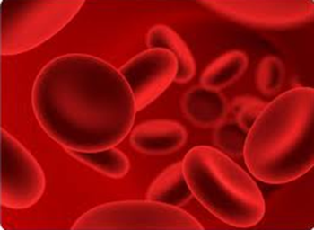 血流变检测仪厂家教你怎么降低血液粘稠度