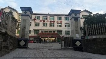 草坝中心卫生院采购微量元素检测仪