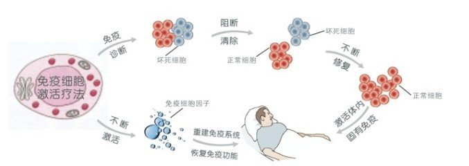 白细胞减少危害人体健康
