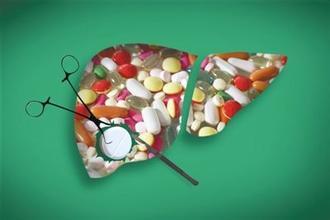 生化分析仪讲解肝脏知识