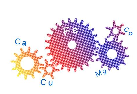 全自动微量元素分析仪厂家谈微量元素提高免疫力