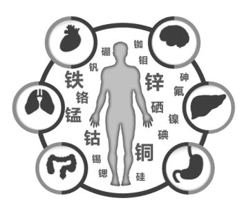 人体微量元素分析仪厂家分析微量元素与肿瘤的关系