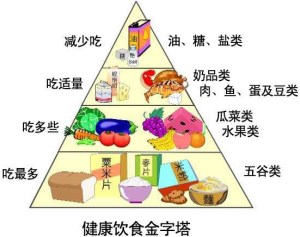 微量元素分析仪分析如何从食物中获得微量元素