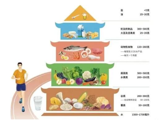 儿童膳食营养分析检测系统建议膳食平衡吃出健康人生