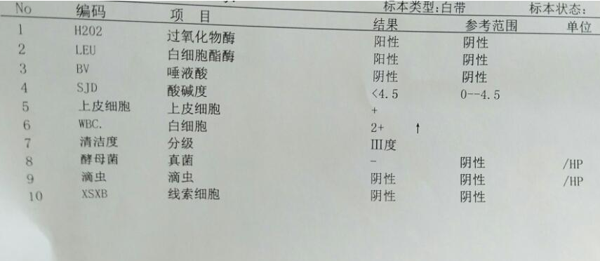 【今日科学】全自动白带常规检测仪厂家对白带杂菌2十有什么意思?